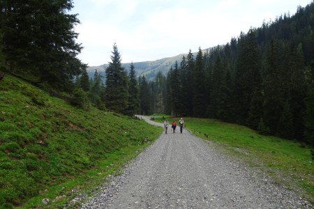 Wanderung mit Maria von der Filzmoosalm zur Loosb&uuml;helalm