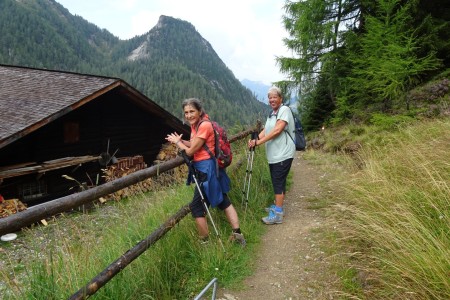 Wanderung mit Maria von der Filzmoosalm zur Loosb&uuml;helalm