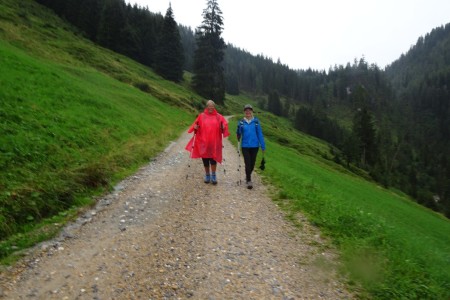 Wanderung mit Maria von der Filzmoosalm zur Loosb&uuml;helalm