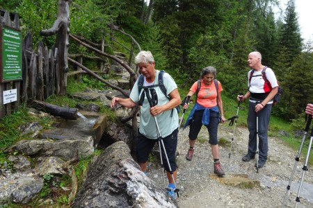 Wanderung mit Maria von der Filzmoosalm zur Loosb&uuml;helalm