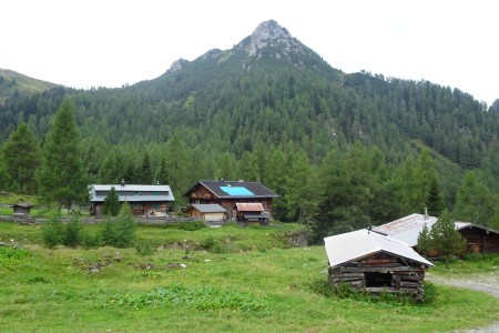 Wanderung mit Maria von der Filzmoosalm zur Loosb&uuml;helalm
