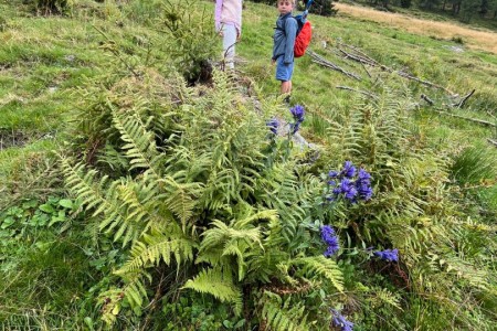 Wanderung mit Toni sen. zur Maurachalm