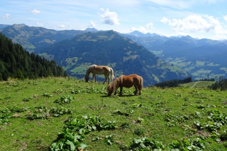 Wanderung mit Maria zum Schuhflicker