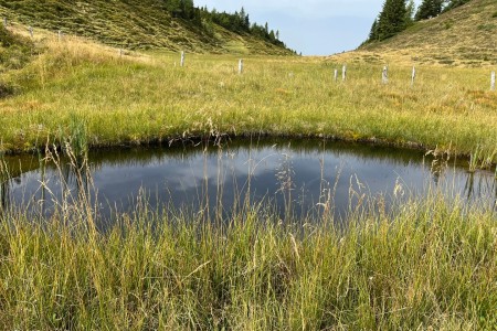 Stammgast Wanderung mit Toni Senior Spatlacken-Wetterkreuz-Saukaralm