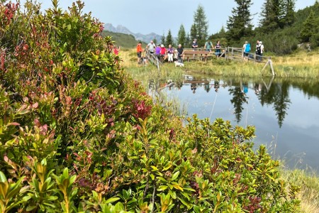 Stammgast Wanderung mit Toni Senior Spatlacken-Wetterkreuz-Saukaralm