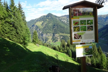 Wanderung mit Dominik zur Hirschgrubenalm