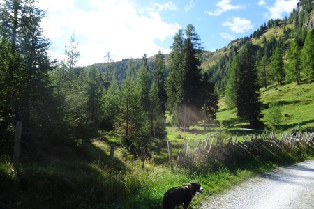 Wanderung mit Dominik zur Hirschgrubenalm