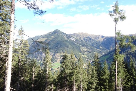 Wanderung mit Dominik zur Hirschgrubenalm