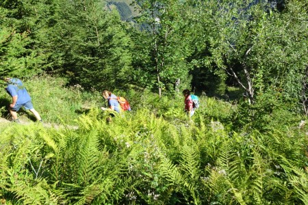 Wanderung mit Dominik zur Hirschgrubenalm