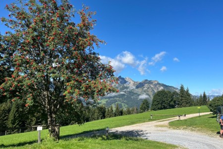Wanderung mit Toni sen. zur Breitenebenalm