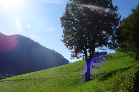 Wanderung mit Maria zur Aigenalm