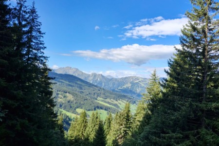 Wanderung mit Karin zur Wei&szlig;alm und Loosb&uuml;helalm