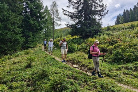 Wanderung mit Karin zur Wei&szlig;alm und Loosb&uuml;helalm