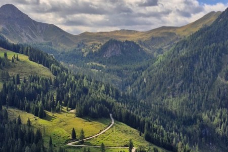 Wanderung mit Karin zur Wei&szlig;alm und Loosb&uuml;helalm