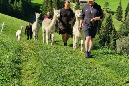 Alpakawanderung mit Karin