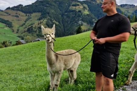 Alpakawanderung mit Karin