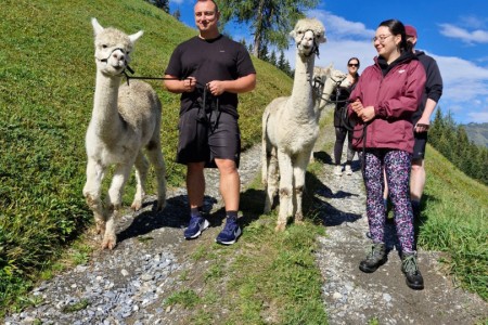 Alpakawanderung mit Karin