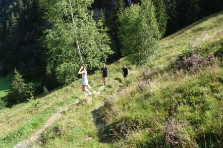 Wanderung zur Kreealm-Bichlh&uuml;tte mit Dominik