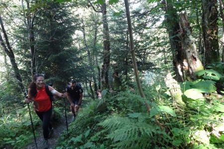 Wanderung zur Kreealm-Bichlh&uuml;tte mit Dominik