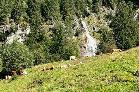 E-Bike Tour mit Toni Senior zu der Kreealm