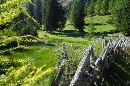 Wanderung zur Heugathalm mit Maria