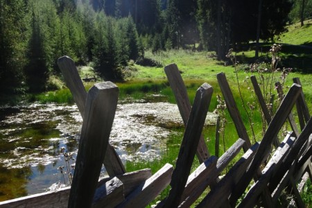 Wanderung zur Heugathalm mit Maria