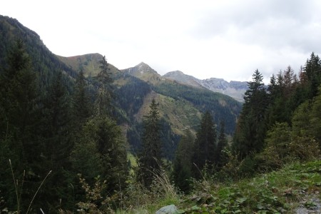 Wanderung mit Maria zur Hubalm