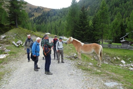 Wanderung mit Maria sen. zur Filzmoosalm