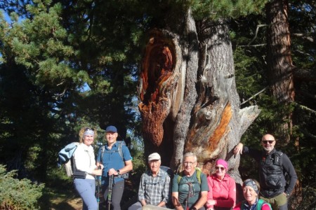 Wanderung mit Maria zum Draugstein