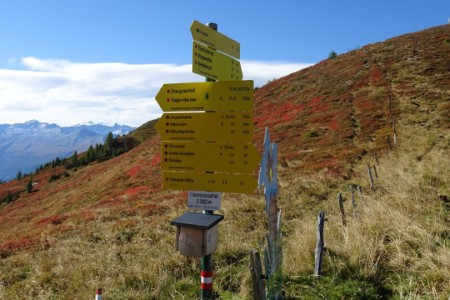 Wanderung mit Maria zum Draugstein