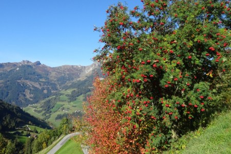 Gipfelwanderung zur Kitzstein Gabel mit Maria