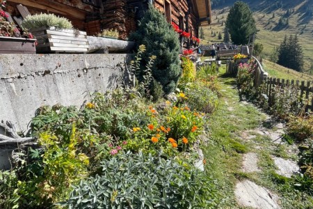 E-Biketour zur Maurachalm, Unterwandalm, Karseggalm mit Toni Sen.