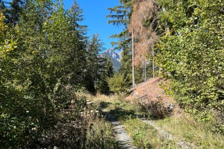 E-Biketour zur Maurachalm, Unterwandalm, Karseggalm mit Toni Sen.