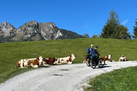 E-Biketour zur Maurachalm, Unterwandalm, Karseggalm mit Toni Sen.