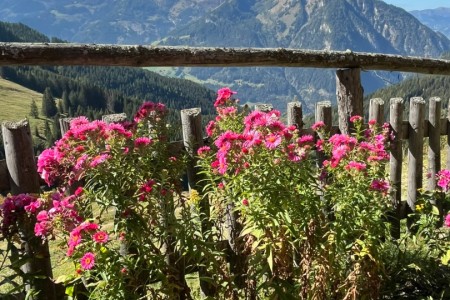 E-Biketour zur Maurachalm, Unterwandalm, Karseggalm mit Toni Sen.