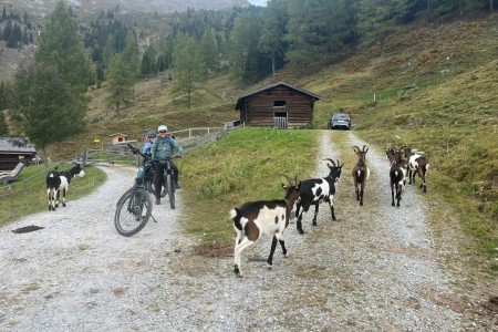 E-Biketour zur Maurachalm, Unterwandalm, Karseggalm mit Toni Sen.