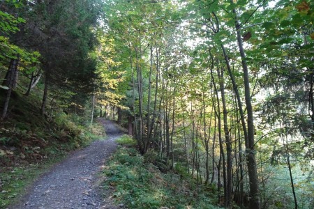 Wanderung mit Maria zur Aigenalm