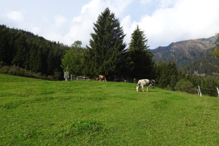 Wanderung mit Maria zur Aigenalm