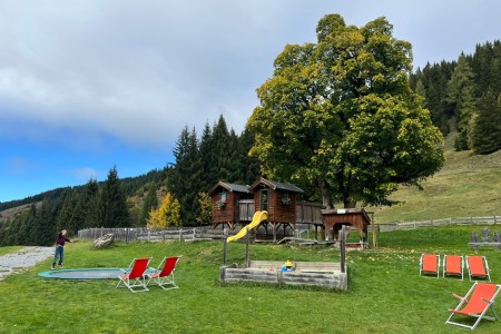 Wanderung mit Toni im Bereich der Breitenebenalm