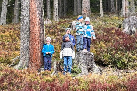 Wanderung mit Toni im Bereich der Breitenebenalm