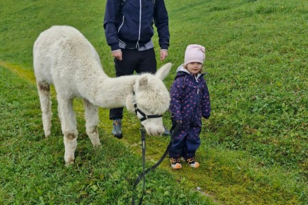 Alpakawanderung mit Karin