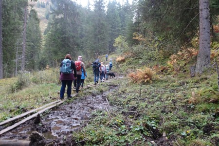 Wanderung mit Maria zur Loosb&uuml;helalm und Wei&szlig;alm