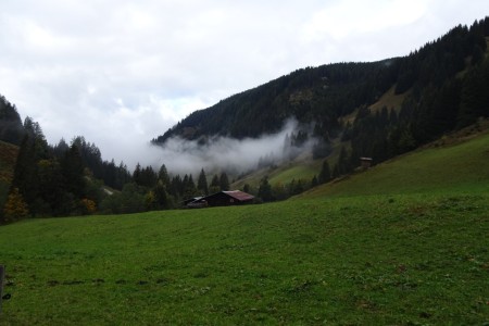 Wanderung mit Maria zur Loosb&uuml;helalm und Wei&szlig;alm