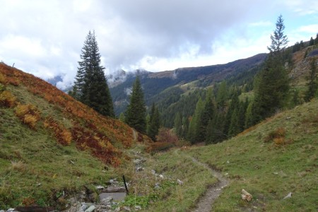 Wanderung mit Maria zur Loosb&uuml;helalm und Wei&szlig;alm