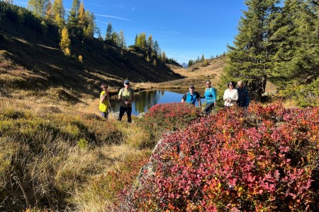 Wanderung mit Toni, Hennebichelalm-Tr&ouml;ge-Spatlacken-Weissalm