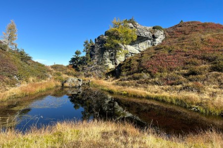 Wanderung mit Toni, Hennebichelalm-Tr&ouml;ge-Spatlacken-Weissalm