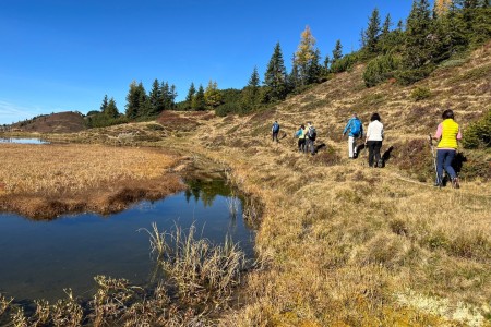 Wanderung mit Toni, Hennebichelalm-Tr&ouml;ge-Spatlacken-Weissalm