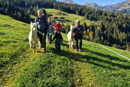 Alpakawanderung mit Karin