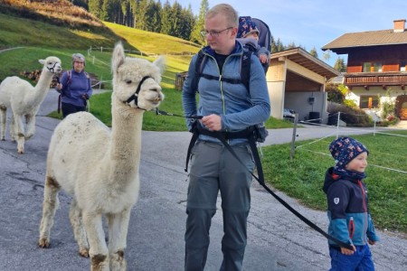 Alpakawanderung mit Karin