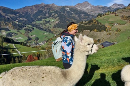 Alpakawanderung mit Karin